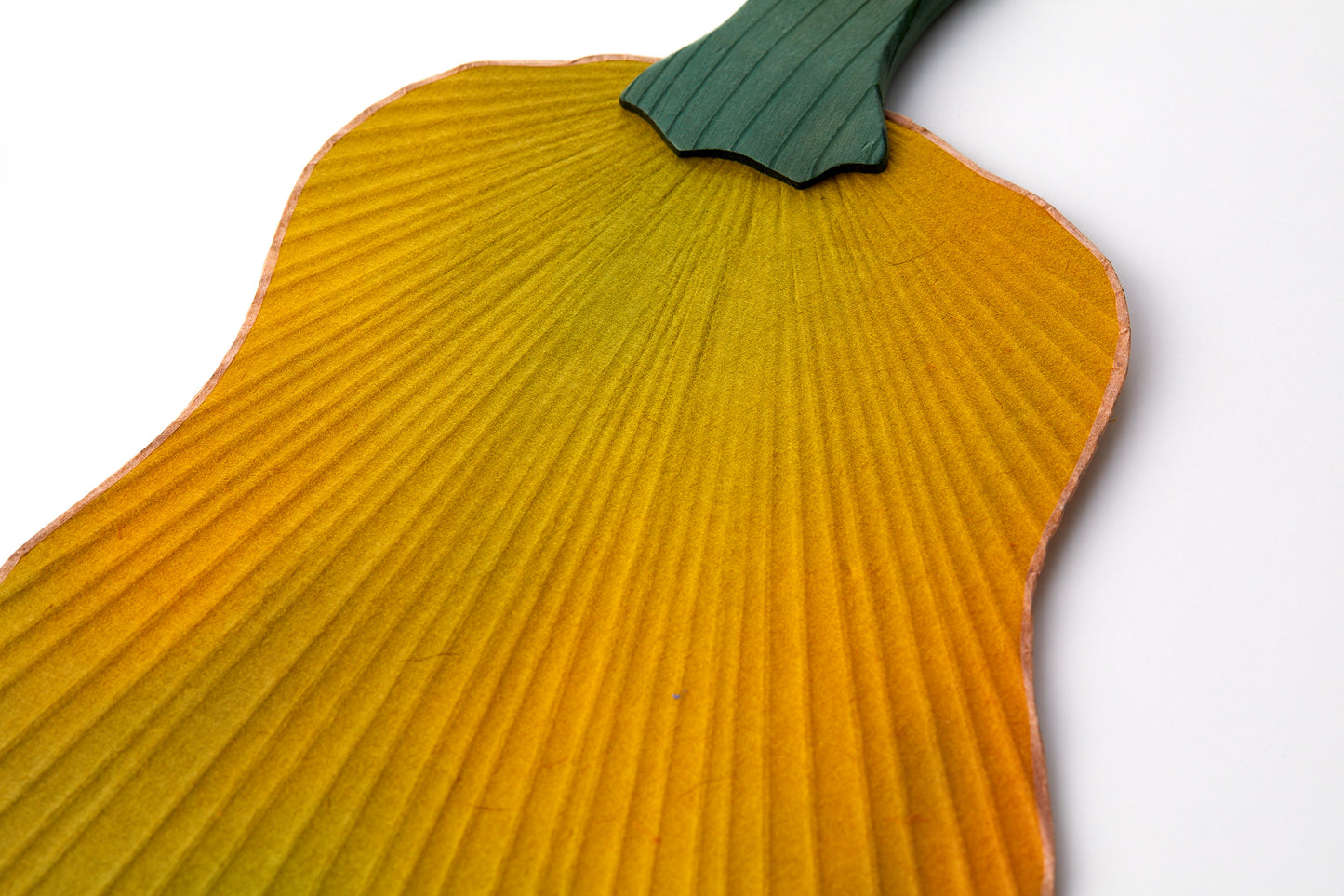 Shiomi Uchiwa Vegetable fan Shishigatani pumpkin