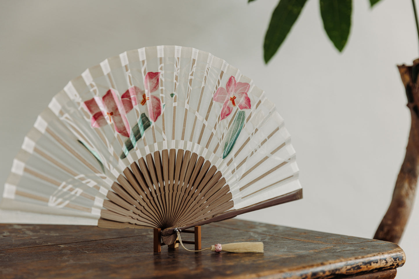 Satsukisen,Folding fan,Orchid